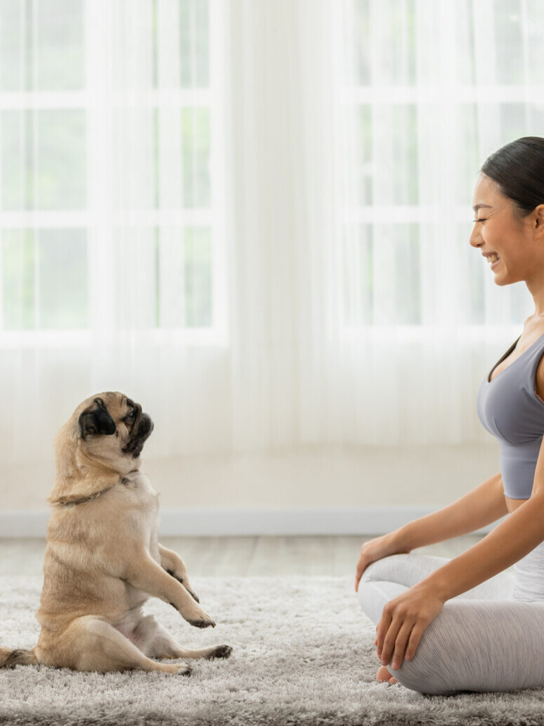 Hilarious Exercises to Keep Your Dog in Shape (And you too) 9 HILARIOUS EXERCISES TO KEEP YOUR DOG IN SHAPE (And you too)