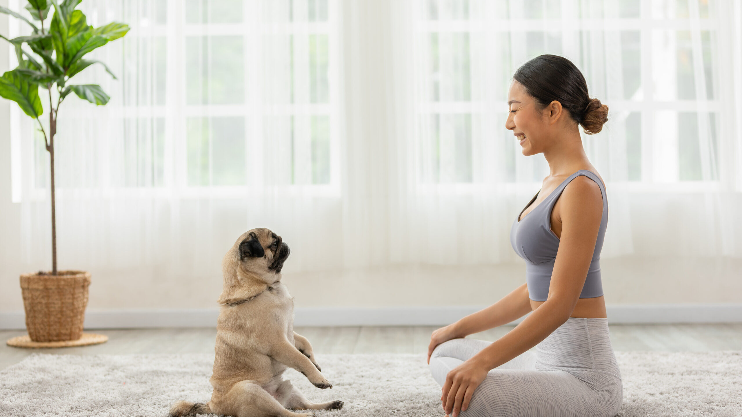 HILARIOUS EXERCISES TO KEEP YOUR DOG IN SHAPE (And you too)