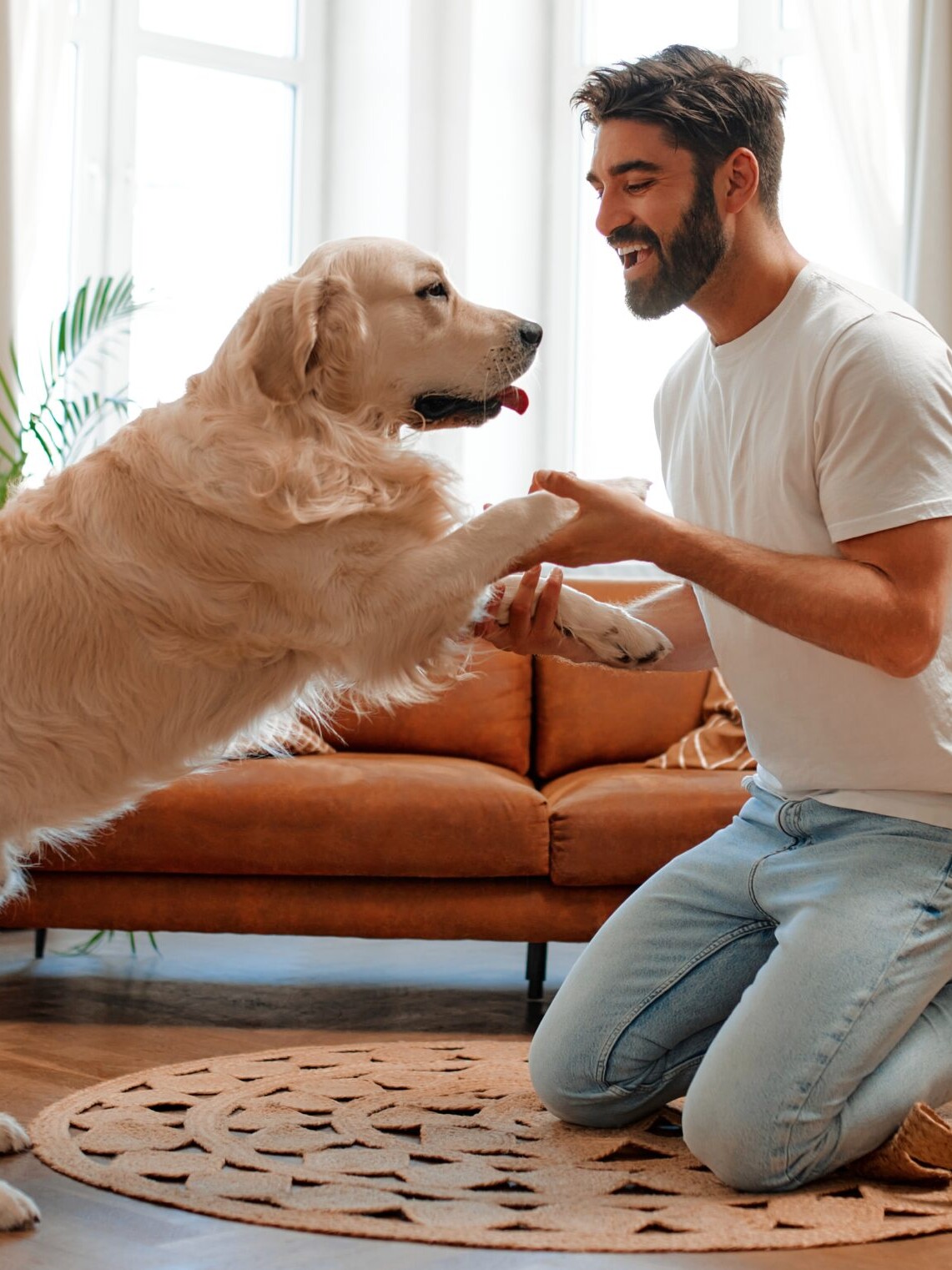 Pet parent VS. Pet owner: Which are you ?