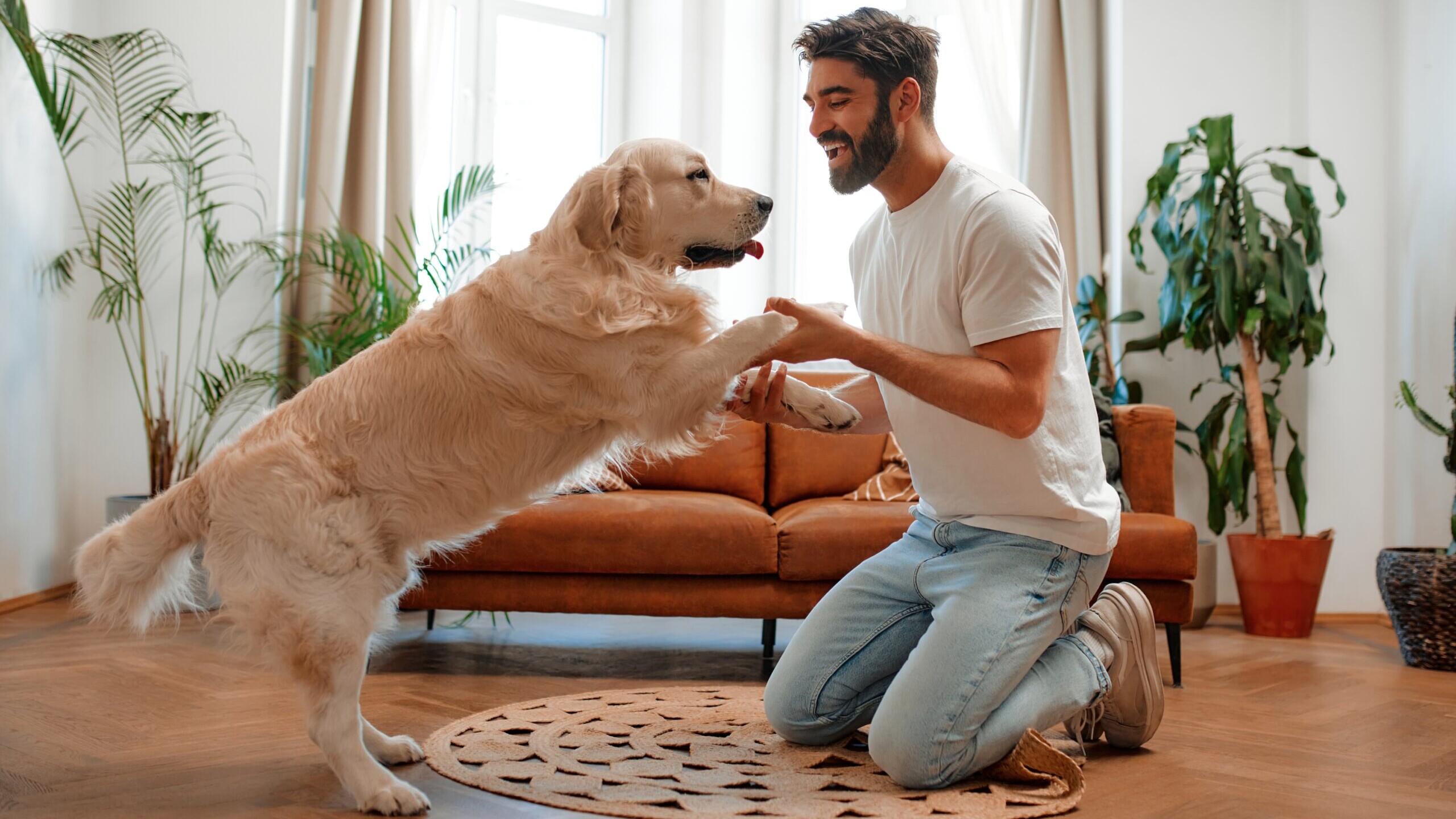 Pet parent VS. Pet owner: Which are you ? 2 Pet parent VS. Pet owner: Which are you ?
