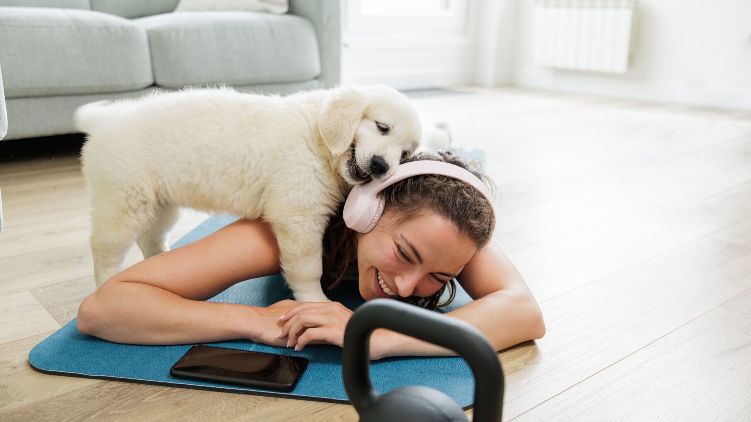 UNDERSTANDING YOUR DOG'S BODY LANGUAGE A wacky guide to decoding furry Morse code
