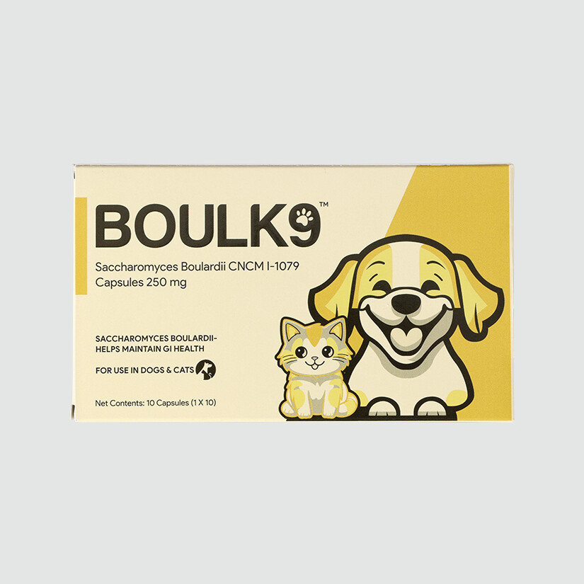 boulk9-1