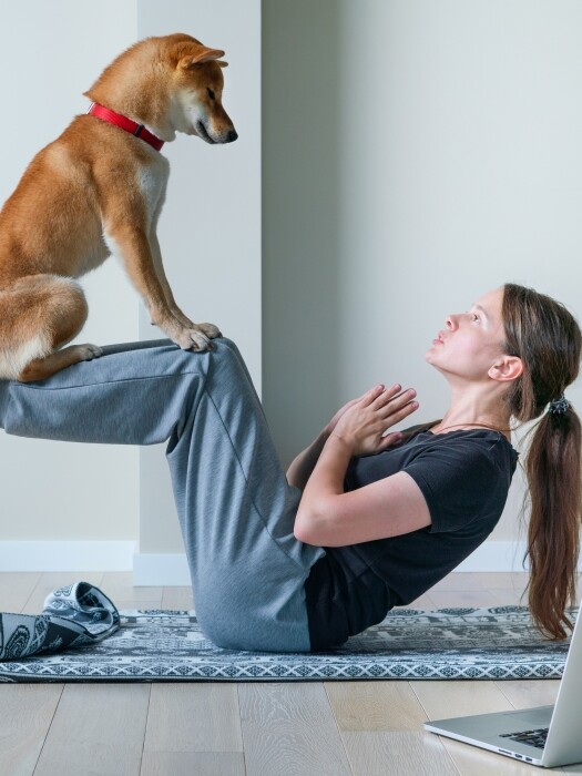FUN DIY ACTIVITIES TO BOND WITH YOUR PETS 3 FUN DIY ACTIVITIES TO BOND WITH YOUR PETS